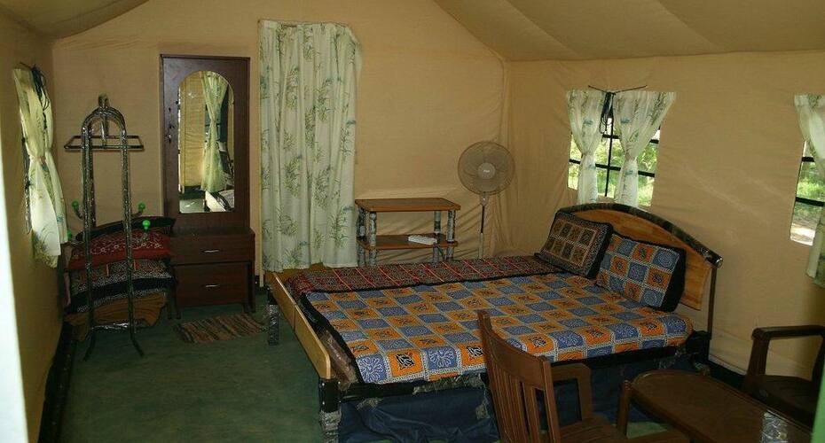 Deep Jungle Home, Mudumalai 4